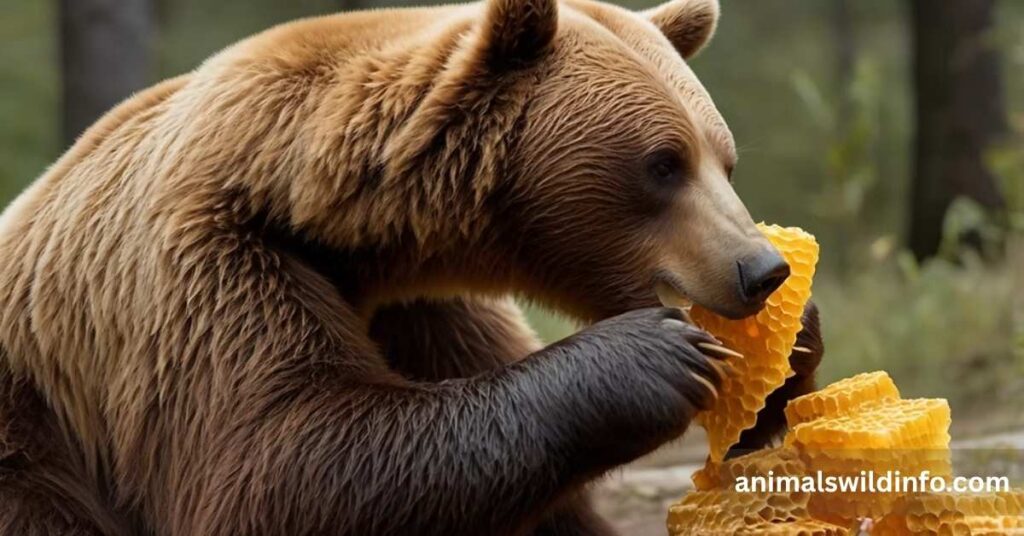 Animals That Eat Honey