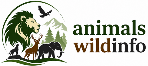 animalswildinfo