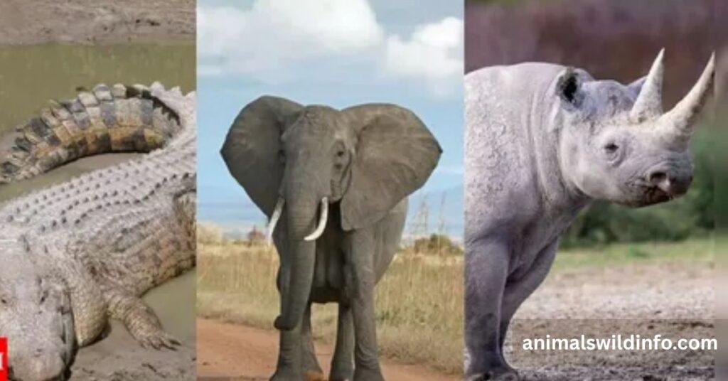 Thickest Skin Animals