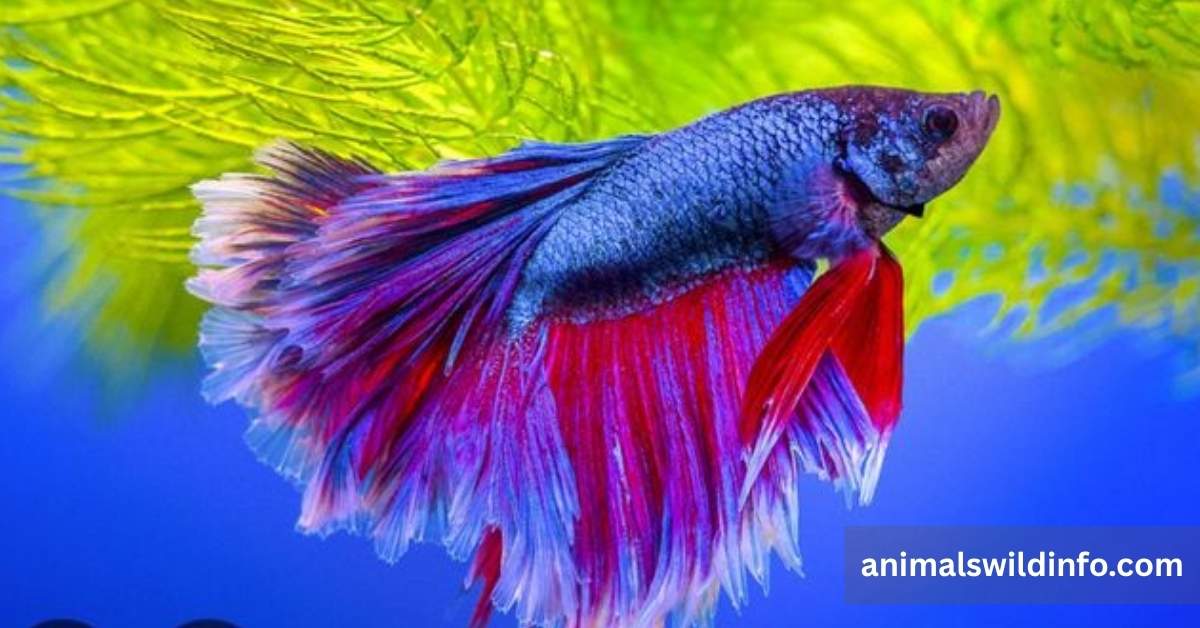 Animals That Are Not Mammals