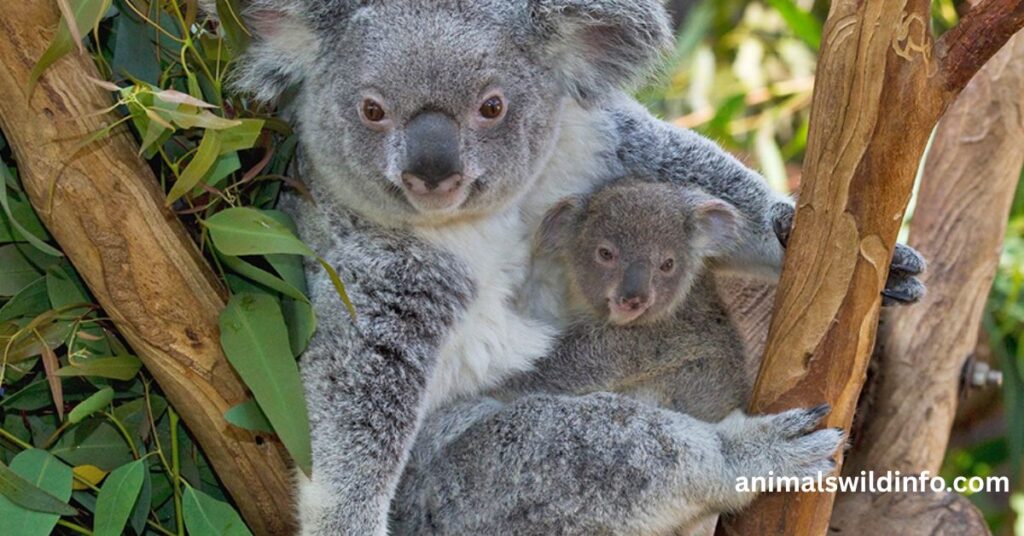 Animals With the Lowest IQ